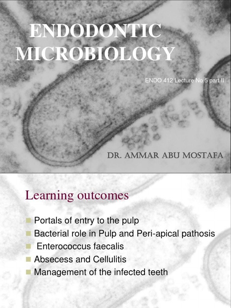 Endodontic Microbiology Dr. Ammar Abu Mostafa PDF Bacteria Infection