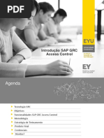 EY - Workshop SAP GRC Access Control - 32 Pg
