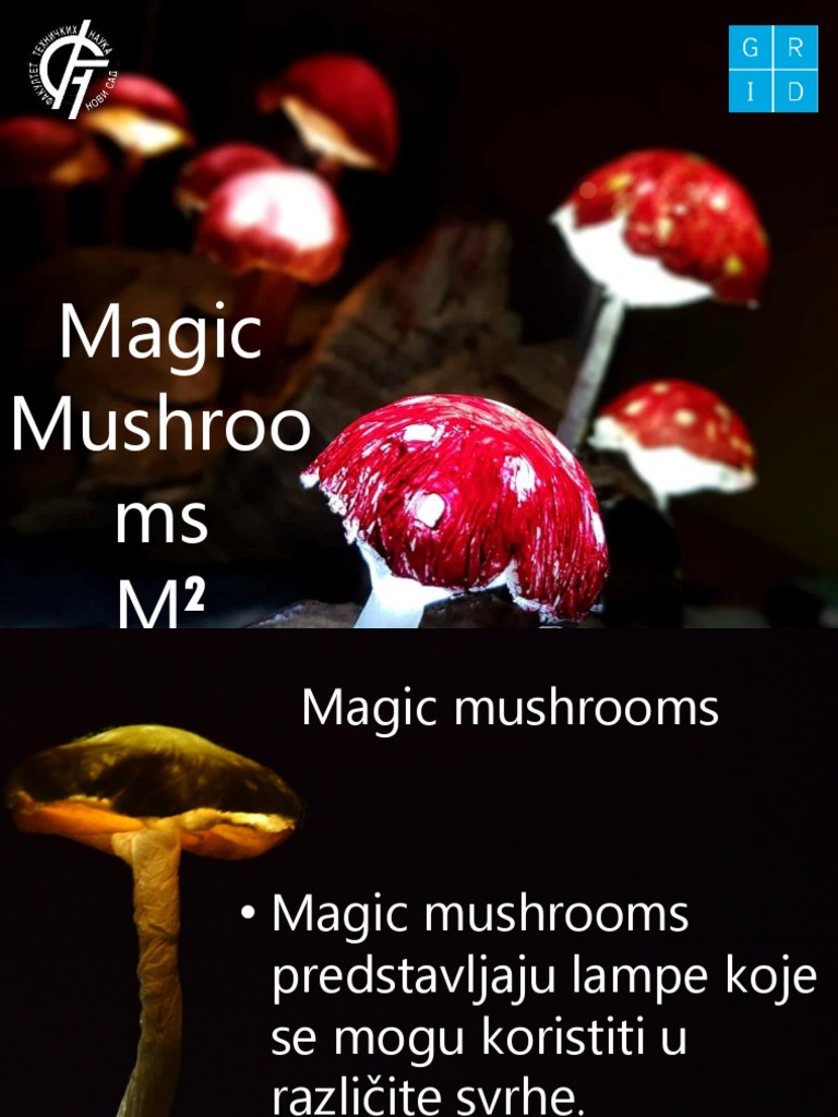 The Ultimate Guide To Using An Eighth Of Magic Mushrooms - 8cx7r6l