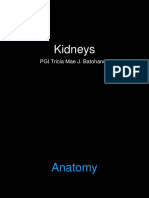 Kidneys: PGI Tricia Mae J. Batohanon
