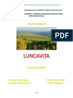 Luncavita - Caras Severin