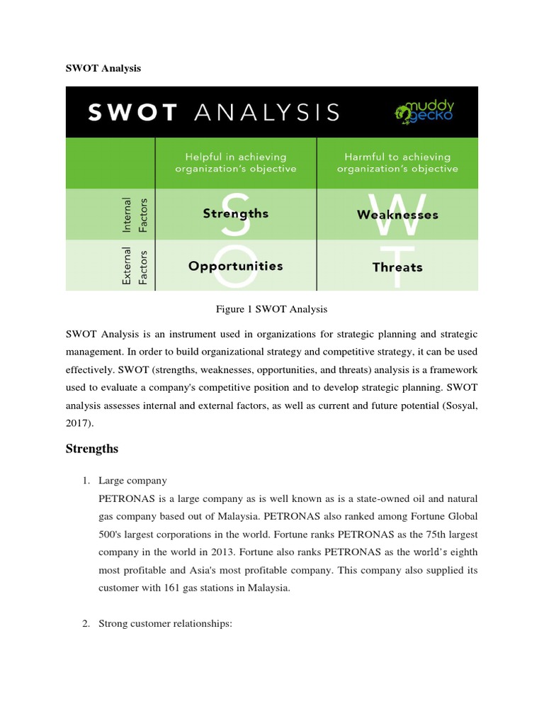 SWOT Analysis: Strengths | PDF