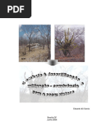 combate desertificacao mitigacao seca.docx