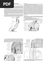 Cun Measurements | PDF | Anatomical Terms Of Location | Abdomen