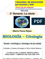 Necesidades Energeticas Durante El Embarazo