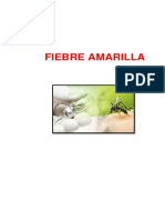 Fiebre Amarilla Expo