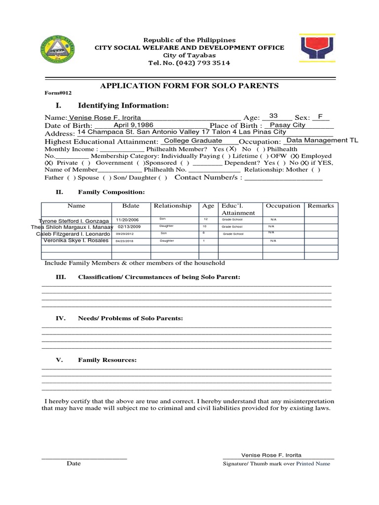 SOLO PARENT ID Application Form PDF Government Social Institutions