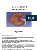 Kidney, Excretion & Osmoregulation