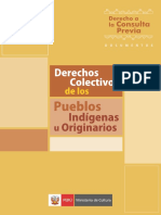 Derechos Colectivos PP.ii.