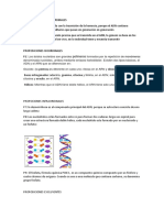 Estructura de ADN