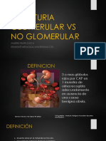 Hematuria Glomerular Vs No Glomerular