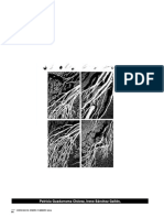 HM PDF