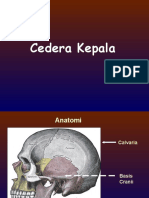 07 Cederakepala