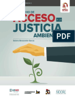 Derecho a La Justicia Ambiental de Selene Benavente Garcia