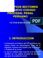 511_principios_rectores.pdf