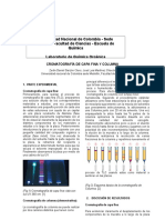 Informe de Cromatografía de Capa Fina y Columna