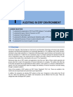 1.1.auditing in An ERP Environment PDF