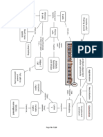 Immune System Mind Maps 2