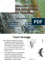 Pengenalan2 Serangga, Orthop, Hemip