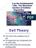 008 Cell Structure_Function.ppt