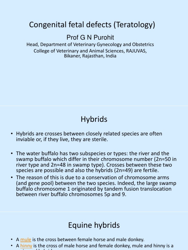 Congenital Defects in Animal Hybrids | PDF | Organisms | Genetics