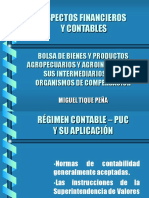 Miguel Tique normas contables.ppt