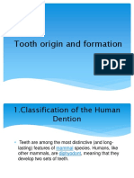 Tooth Origin and Formation