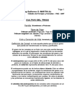 CultivoTrigo PDF