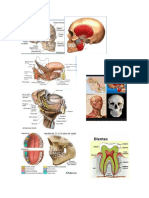 fisio fid 2