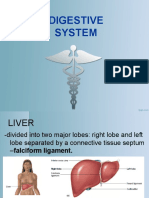 Digestive System