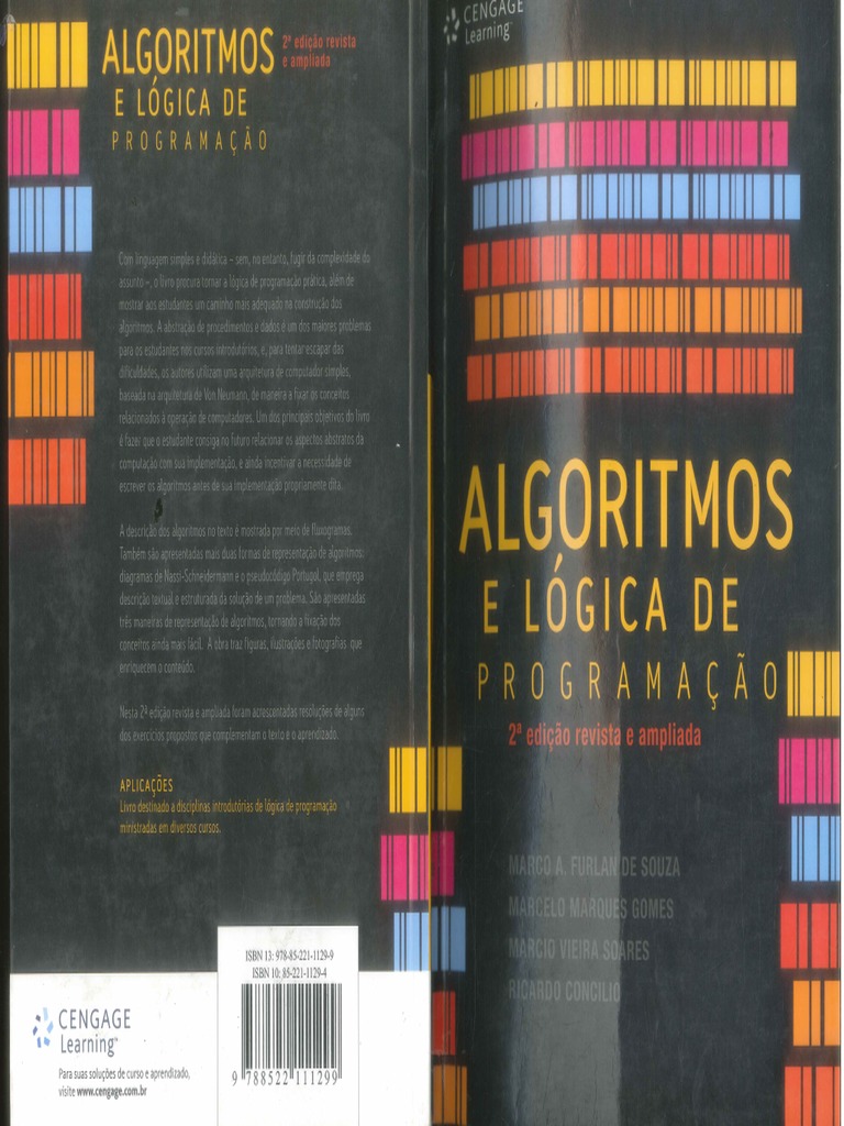 Lógica de Programação e Algoritmo.