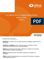 201710_C2_Morfología.pdf