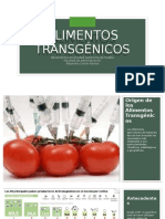 Alimentos transgenicos 