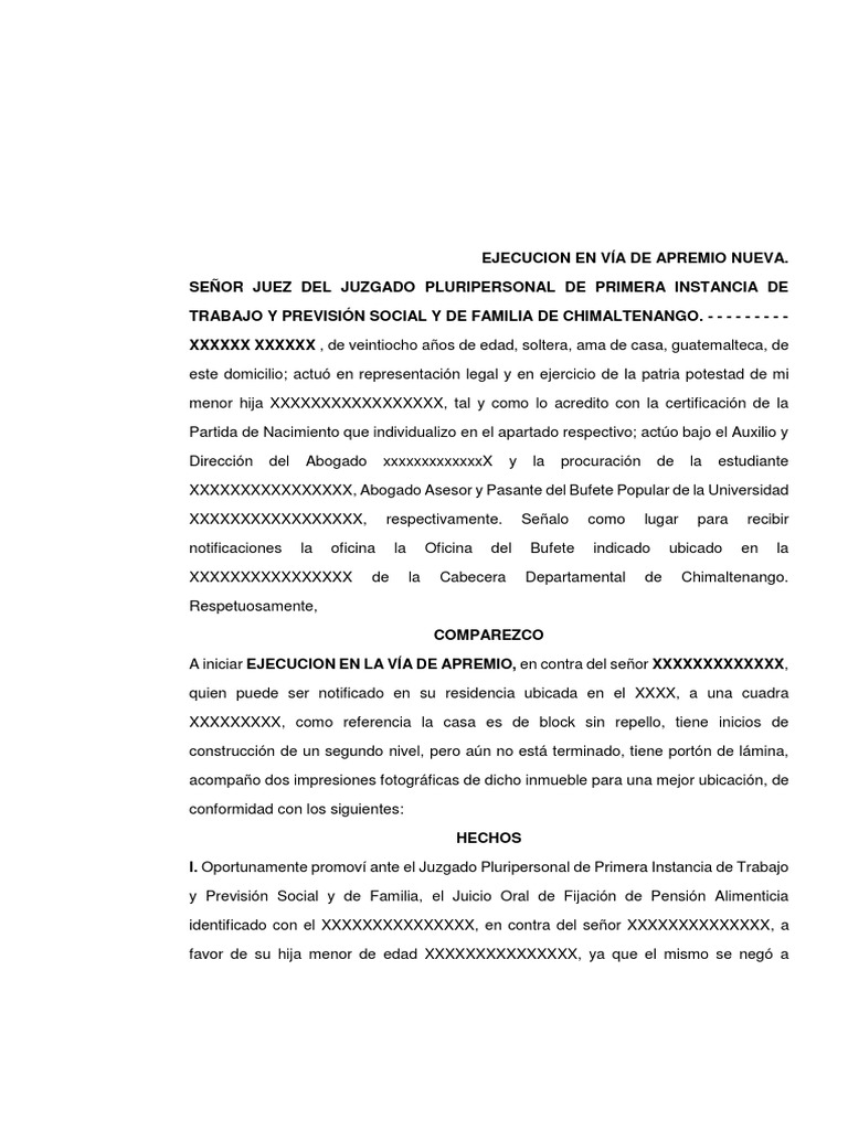 Demanda Ejecucion en La Via de Apremio, Titulo Ejecutivo Convenio Celebrado  en Juicio | PDF | Manutención de los hijos | Gobierno