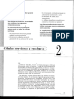 Kandel Neurociencia y Conducta