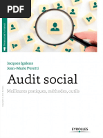 Rapport Mission Audit Social Consultant Audit