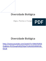 Diversidade Biológica Algas Plantas e Fungos