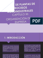 ORGANIZACION DE LA EMPRESA.ppt