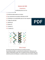 Sistema Del ADN y Sintesis de Proteinas