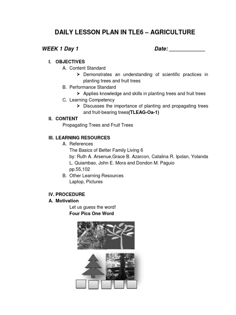 dlp-in-tle6-week-1-pdf-trees-soil