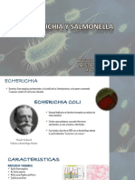 Expo - E.coli - Salmonella Final