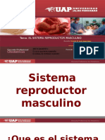 PATOLOGIA TRABAJO.pptx