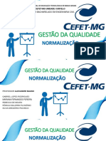 Seminário de Gestão Da Qualidade ( Normalização)