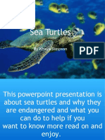 Sea Turtles: Endangered Species in Peril