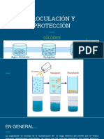 Floculación y Protección