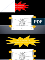 Reproductive System Interactive Labelling