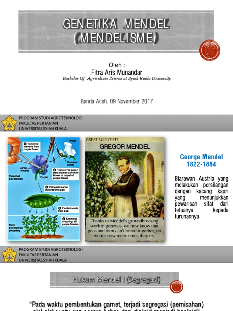 Penyimpangan Semu Hukum Mendel