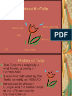 All About Thetulip: History of Tulip How To Plant Tulips