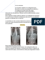 Actividad 3