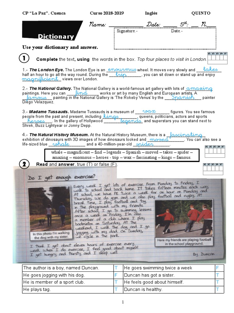 Dictionary: Use Your Dictionary and Answer | PDF | Nature